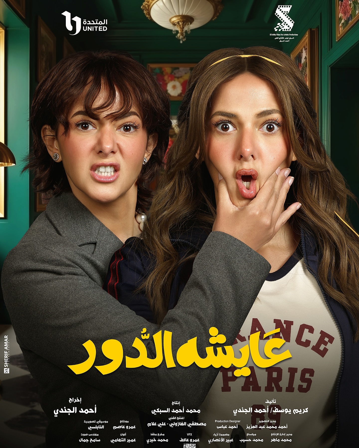 مسلسل عايشة الدور الحلقة 15 الخامسة عشر والاخيرة
